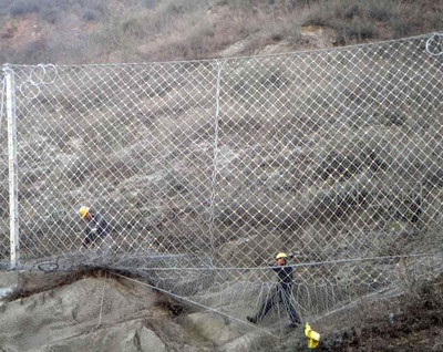 ����(d��ng)���o(h��)�W(w��ng)