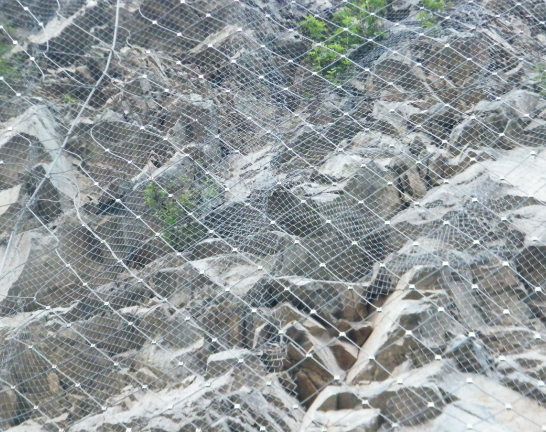 ���ӷ��o(h��)�W(w��ng)�đ�(y��ng)��