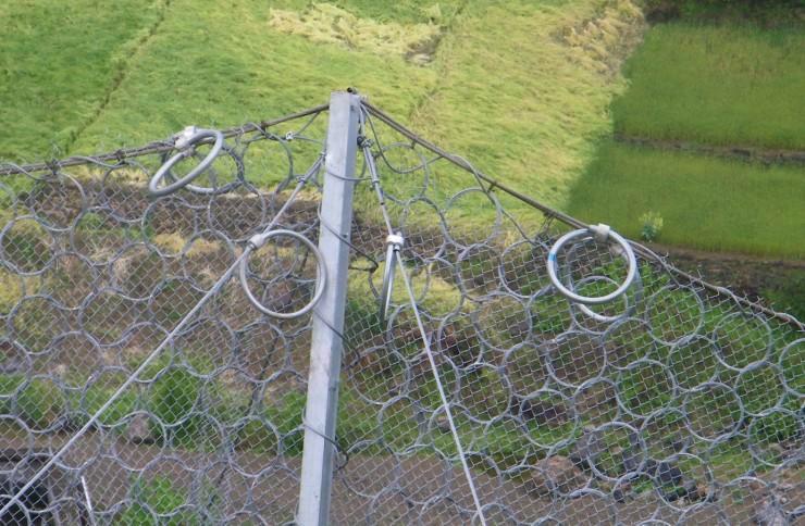 025�ͭh(hu��n)�α���(d��ng)���o(h��)�W(w��ng)