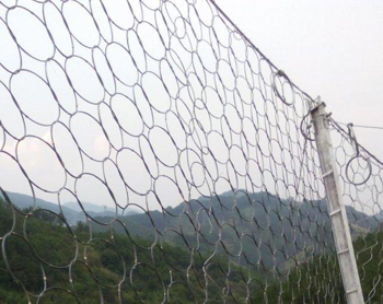 075�ͭh(hu��n)�α���(d��ng)���o(h��)�W(w��ng)